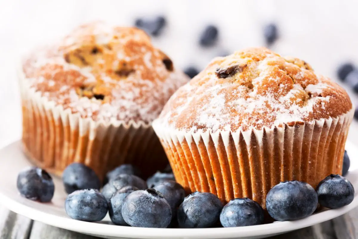 15 Best High Fiber Muffin Recipes To Try Today
