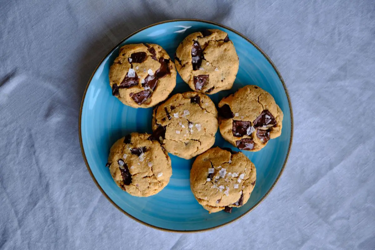 15 Best Paleo Cookie Recipes To Try Today