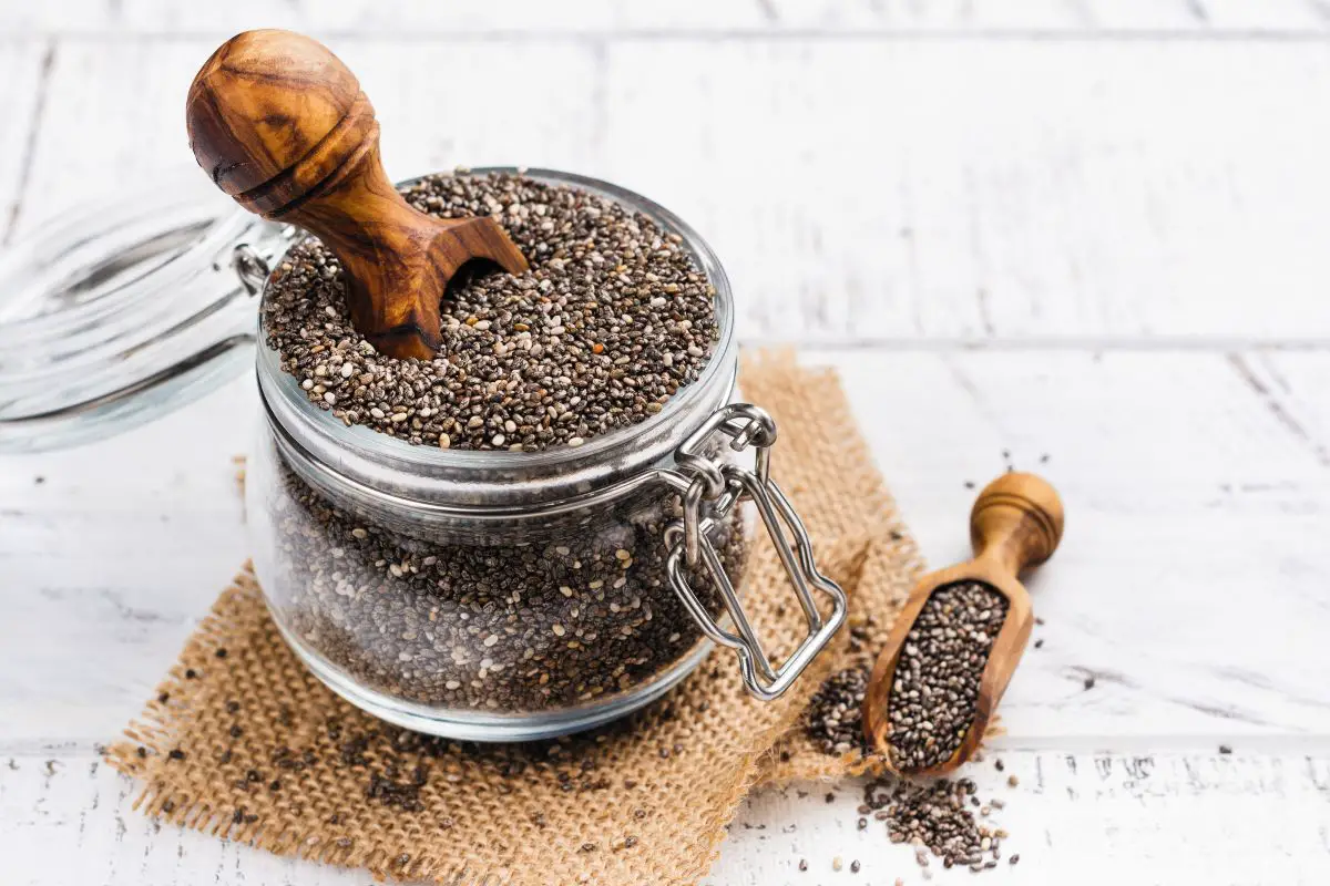 A Guide To Using Chia Seeds & Health Benefits