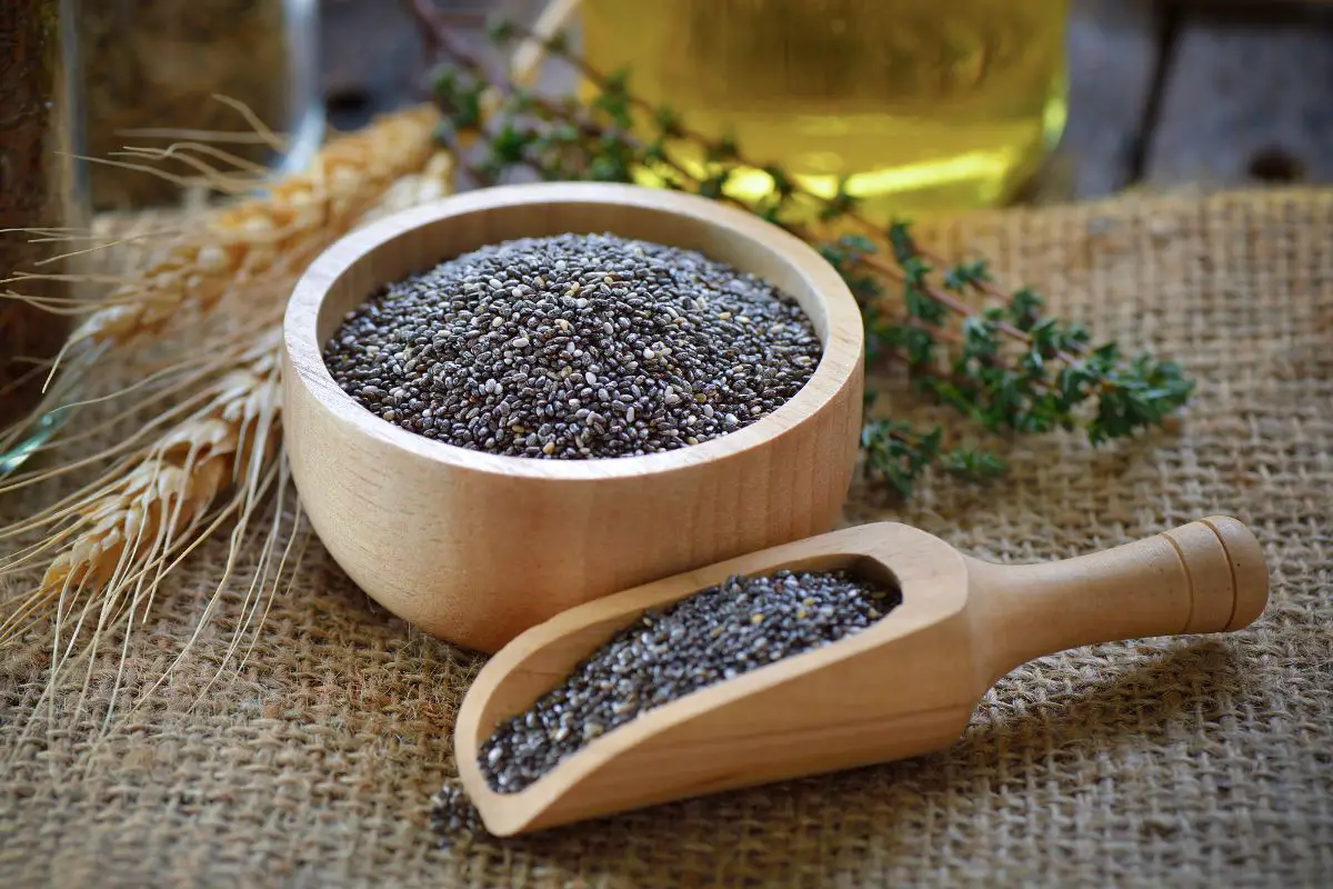 All You Need To Know About Chia Seeds!