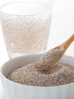 Chia History: Chia Seeds + Their Uses Through The Ages