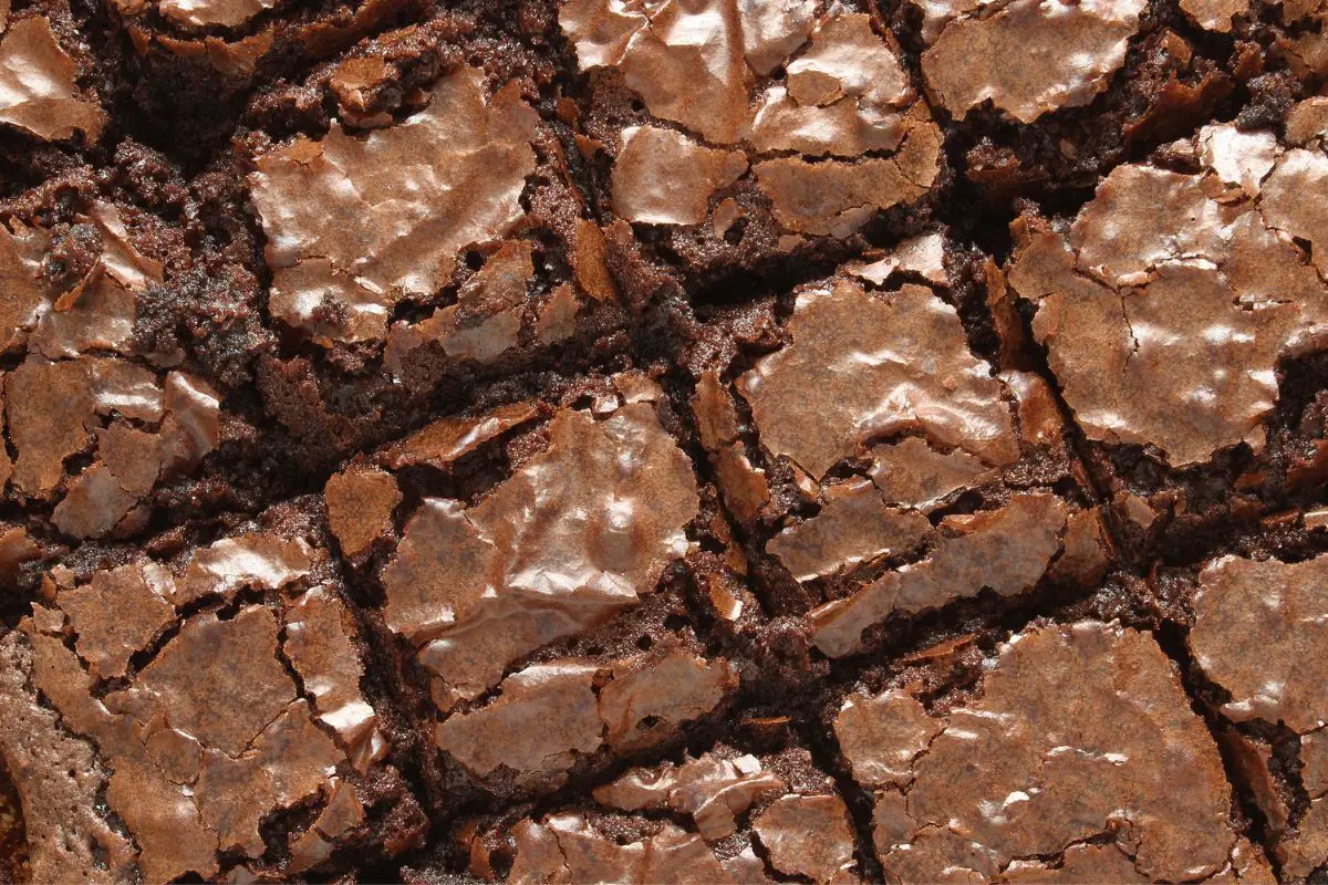 How To Make Delicious High-Protein Collagen Brownies
