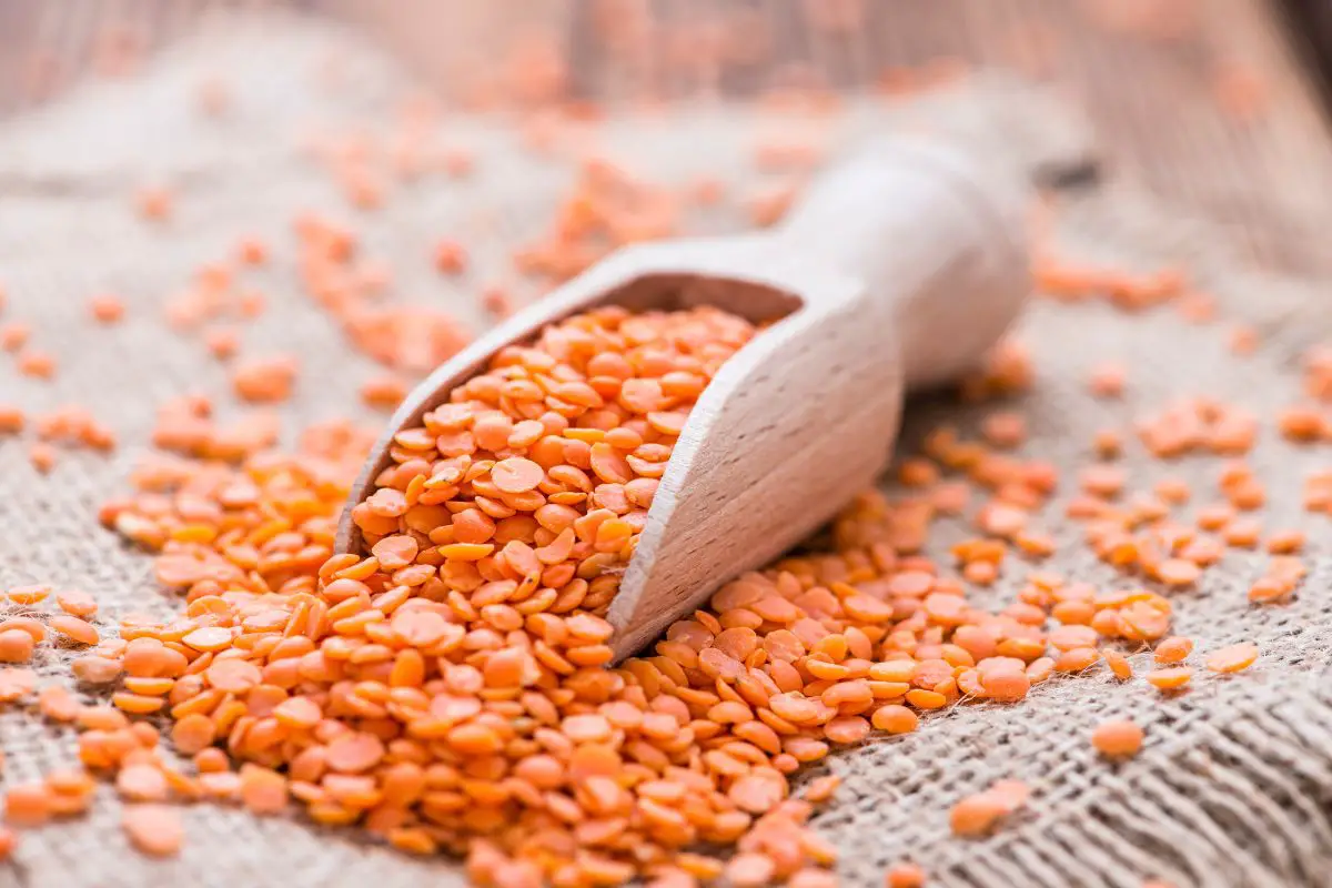 Indian Masoor Dal Recipe: A Red Lentil Specialty! 