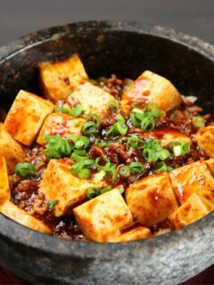 Meatless-Mapo-Tofu-Vegetarian-And-Vegan-Friendly-Recipe-