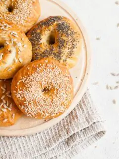 Super Fast & Easy Whole Wheat Bagels (2 Ingredients!)