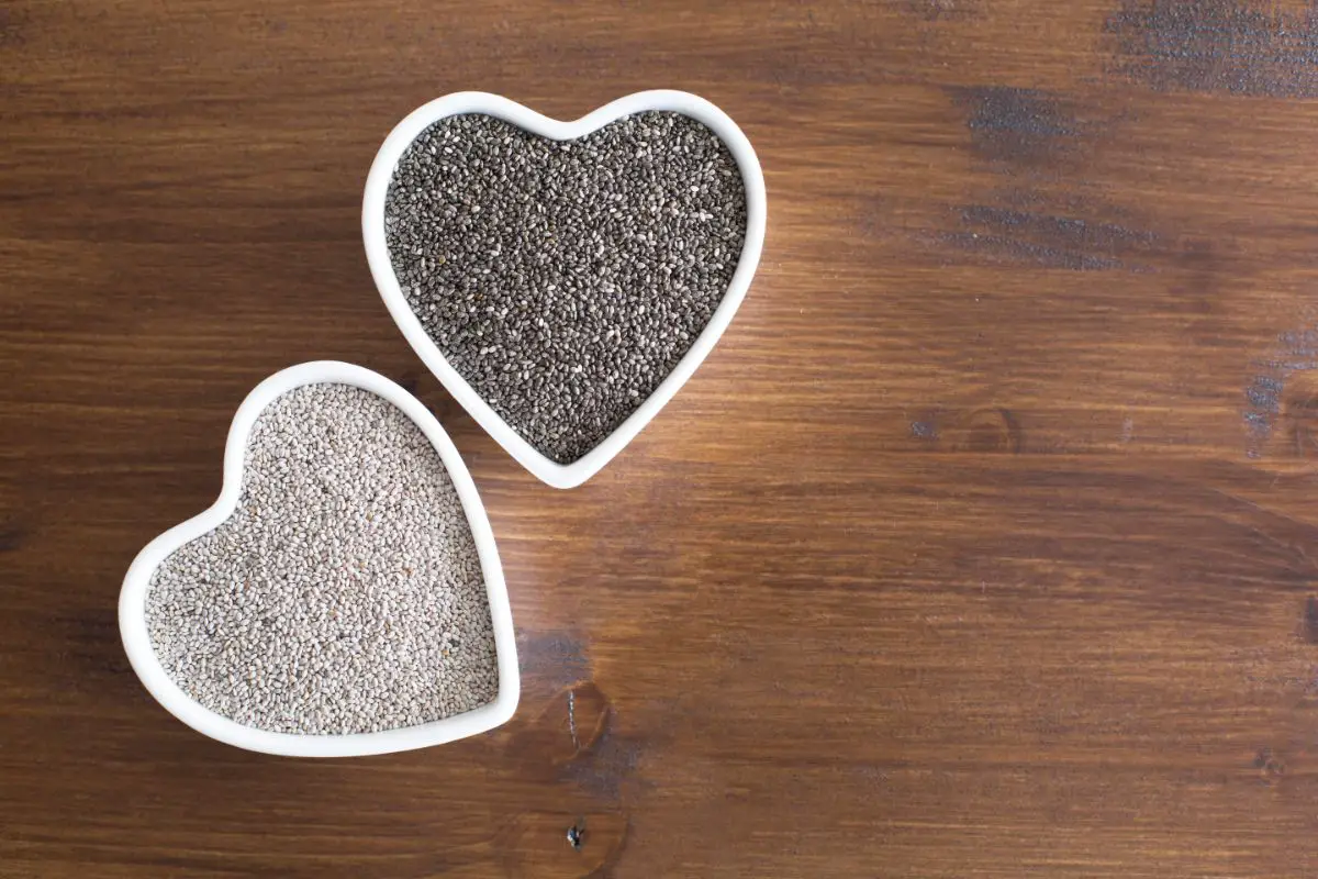 What Are The Nutritional Benefits Of Chia Seeds