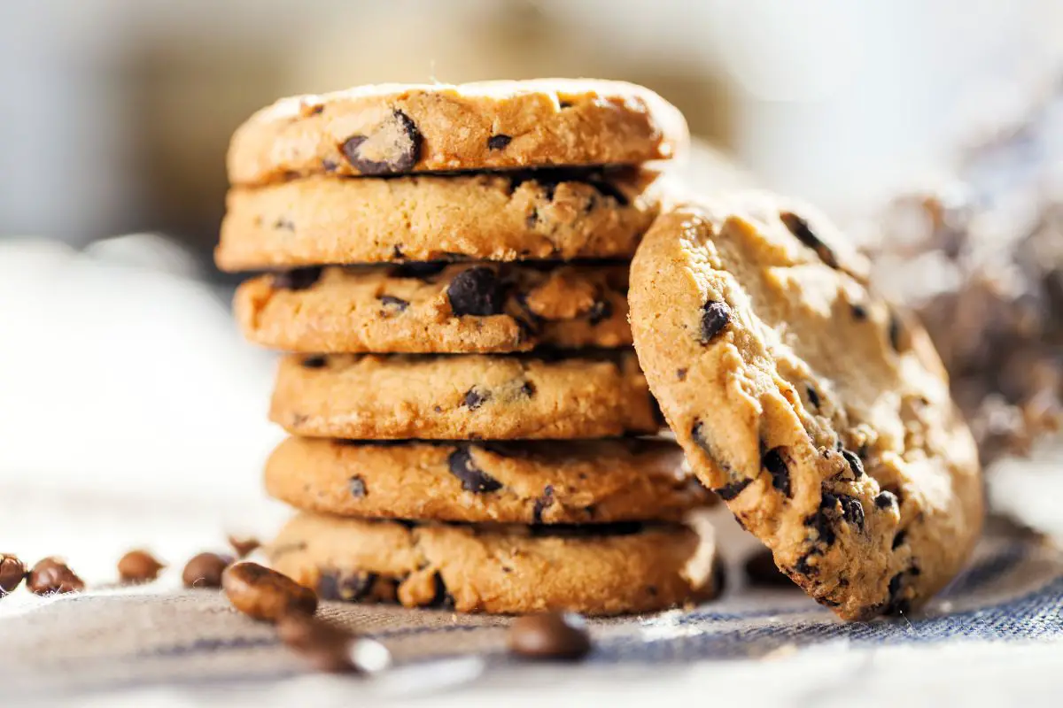 15 Best High Fiber Cookies Recipes To Try Today