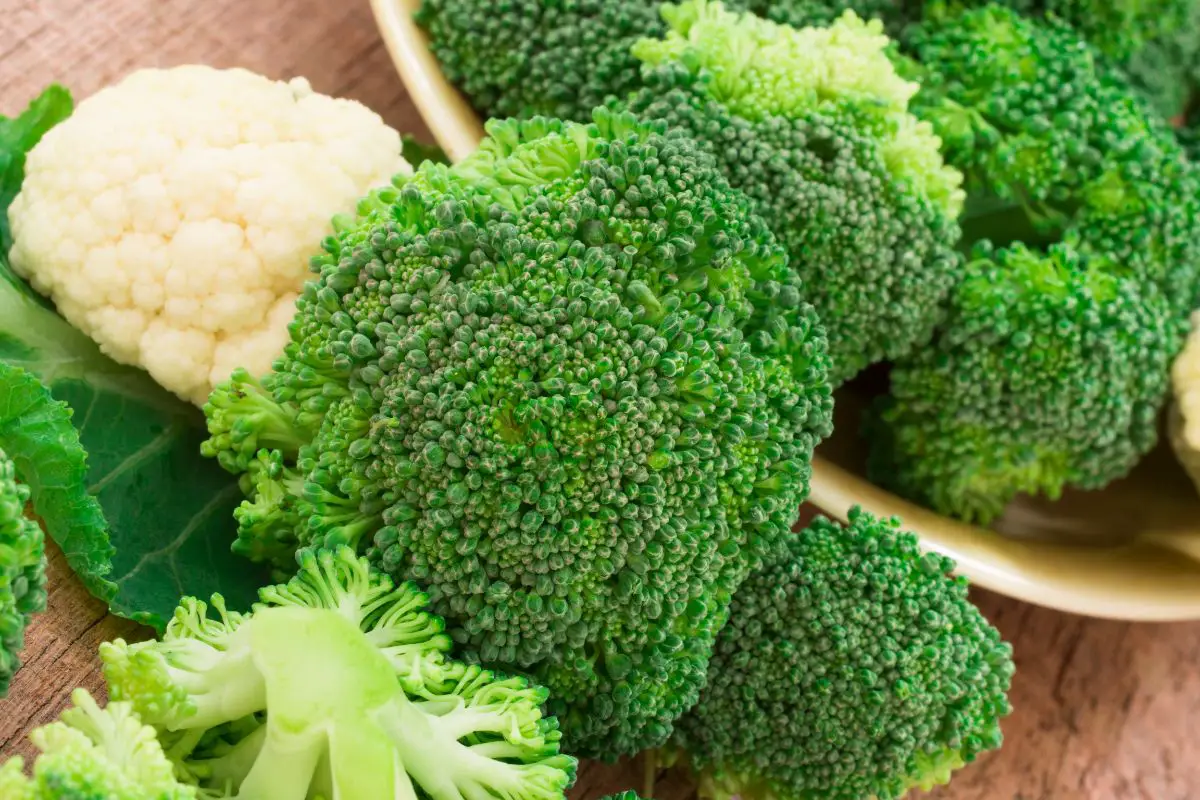 How Can You Tell If Broccoli Is Bad?