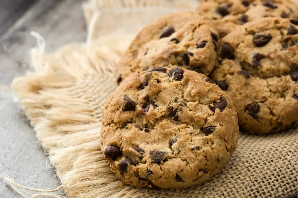 11 Of The Very Best Paleo Chocolate Chip Cookies Recipes To Make Today