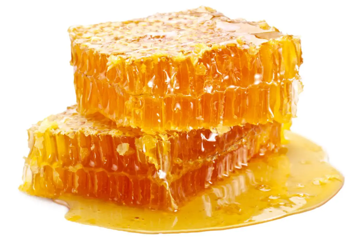 Is Honey Paleo-Friendly 