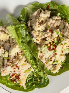 Meal Of The Day: 10 Best Wednesday Lunch Paleo Recipes