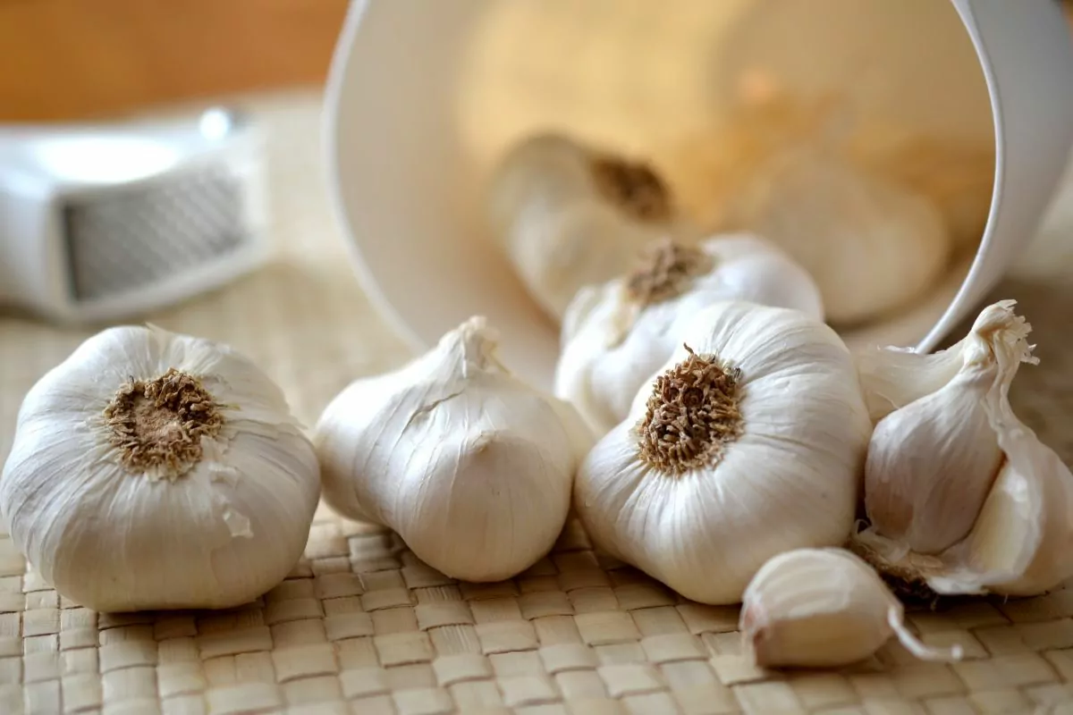 The Best Ways To Tell If Garlic Is Bad: How To Make Your Garlic Last Longer